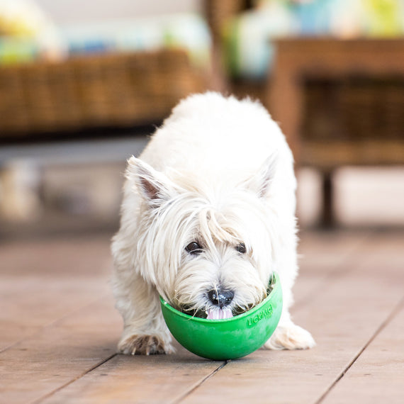 LickiMat Wobble Fun Slow Feeder Boredom Buster Anxiety Reliever Dogs